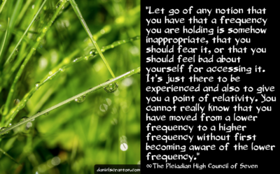 Screen Shot 2016-06-22 at 8.50.57 PM