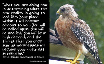 Screen Shot 2016-07-19 at 9.48.49 PM