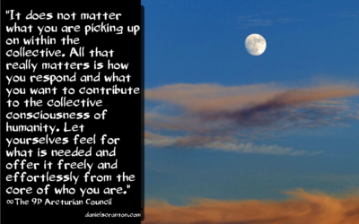 screen-shot-2016-11-12-at-11-21-00-pm