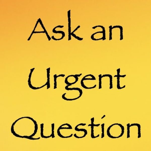 ask an urgent question Ask an Urgent Question ∞Any of the Beings or Collectives Daniel Scranton Channels
