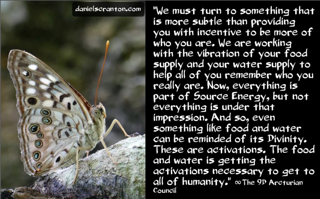 Divinity in Your Food & Water âˆžThe 9D Arcturian Council, Channeled by Daniel Scranton channeler