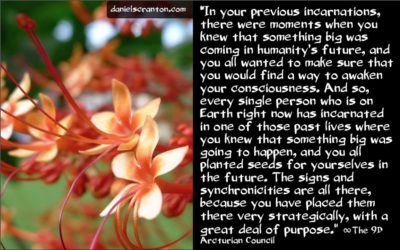 planting seeds in past lives - the 9th dimensional arcturian council - channeled by daniel scranton channeler of archangel michael