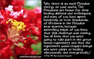 pleiadian-energies-on-a-timeline-to-heal-humanity-the-9th-dimensional-arcturian-council-channeled-by-daniel-scranton-400x251.jpg?profile=RESIZE_710x