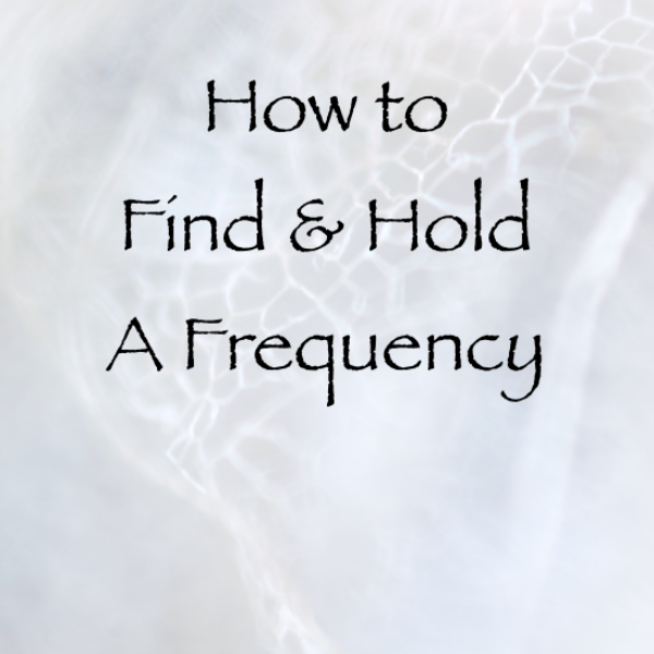 Screen Shot 2015-06-14 at 10.21.42 PM