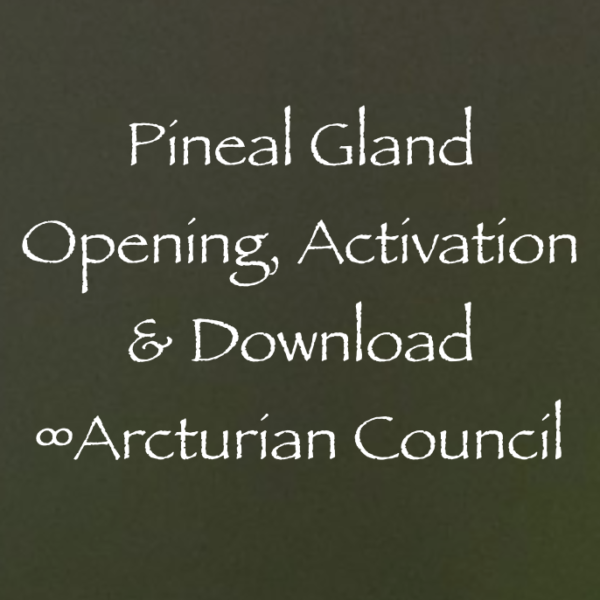 Screen Shot 2017-02-05 at 11.23.46 AM