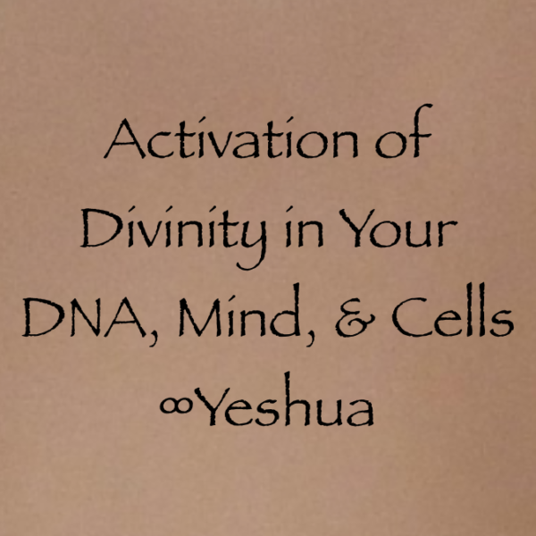 Screen Shot 2017-02-12 at 11.53.02 AM