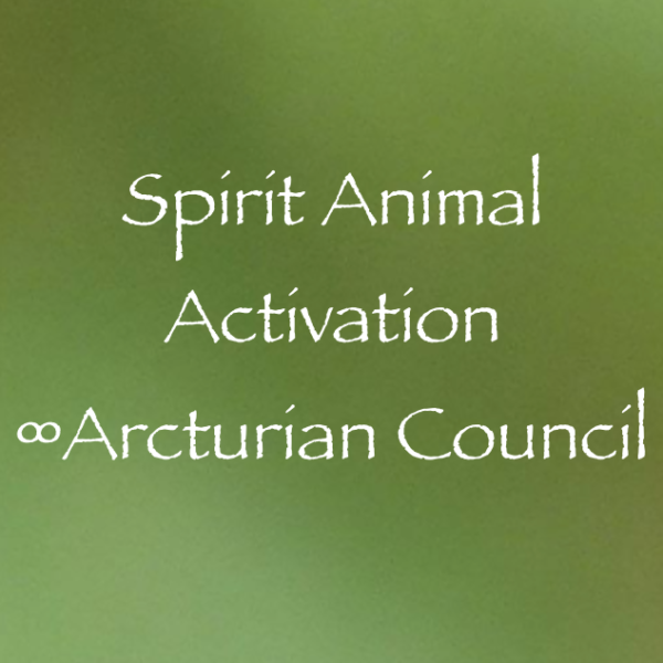 Screen Shot 2017-04-09 at 12.10.32 PM