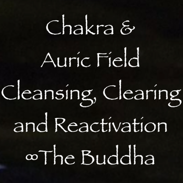 Screen Shot 2017-06-04 at 12.25.52 PM