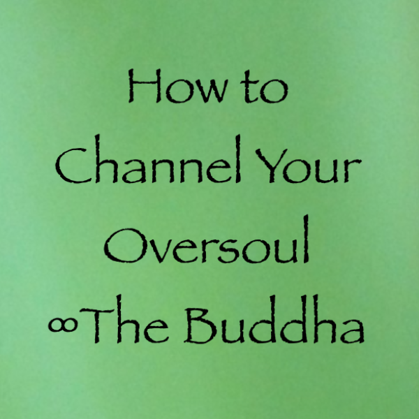 Screen Shot 2017-06-11 at 11.35.30 AM