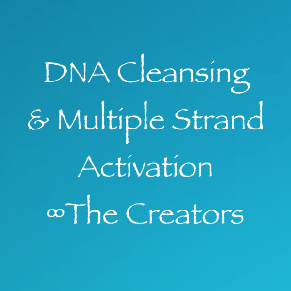 Screen Shot 2017-08-06 at 11.49.21 AM