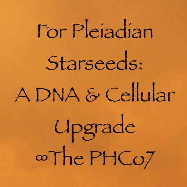 Screen Shot 2017-11-05 at 11.53.58 AM