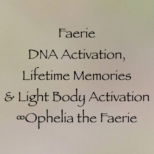 Screen Shot 2017-11-19 at 12.30.13 PM