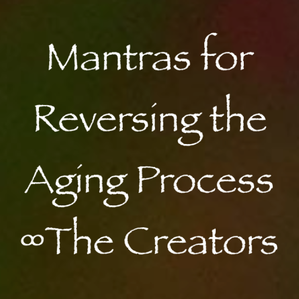 Screen Shot 2017-11-26 at 12.16.29 PM