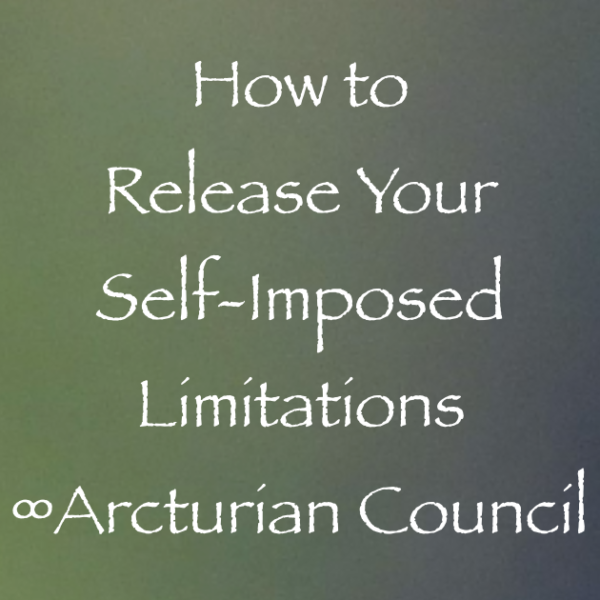 Screen Shot 2017-12-03 at 11.51.12 AM