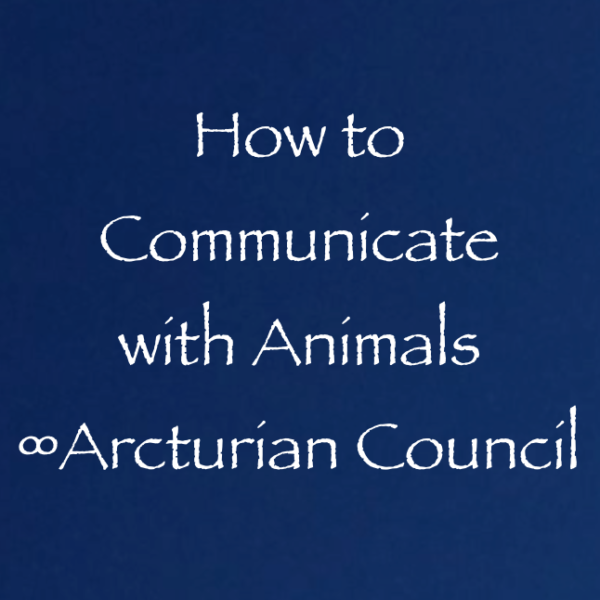 Screen Shot 2017-12-10 at 11.56.28 AM