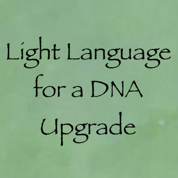 Screen Shot 2018-11-04 at 8.33.06 PM