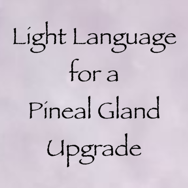 Screen Shot 2018-11-04 at 8.35.50 PM