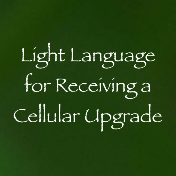 Screen Shot 2018-11-18 at 12.17.40 AM