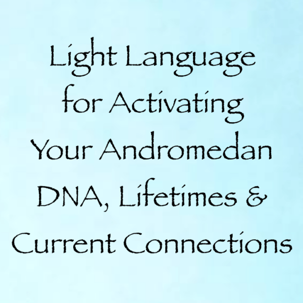 Screen Shot 2018-12-23 at 12.46.19 AM