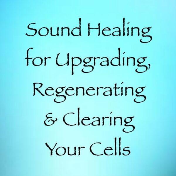 Screen Shot 2019-01-27 at 11.44.17 AM