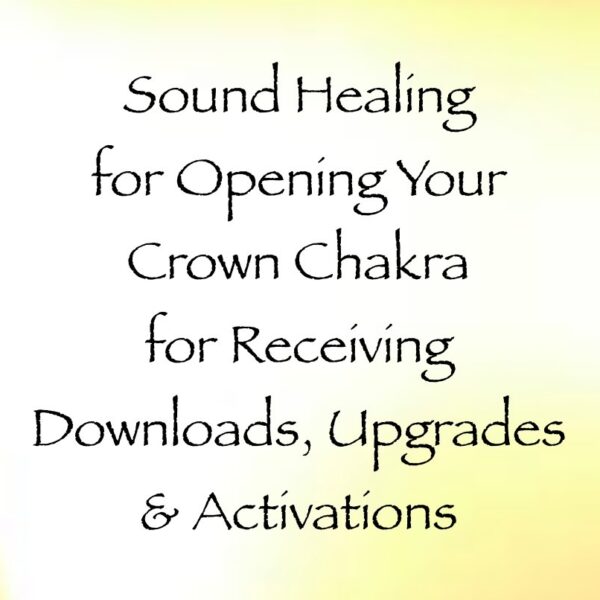 Screen Shot 2019-02-03 at 12.32.11 PM