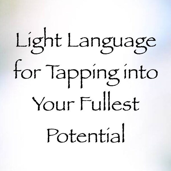 Screen Shot 2019-02-16 at 3.24.19 PM