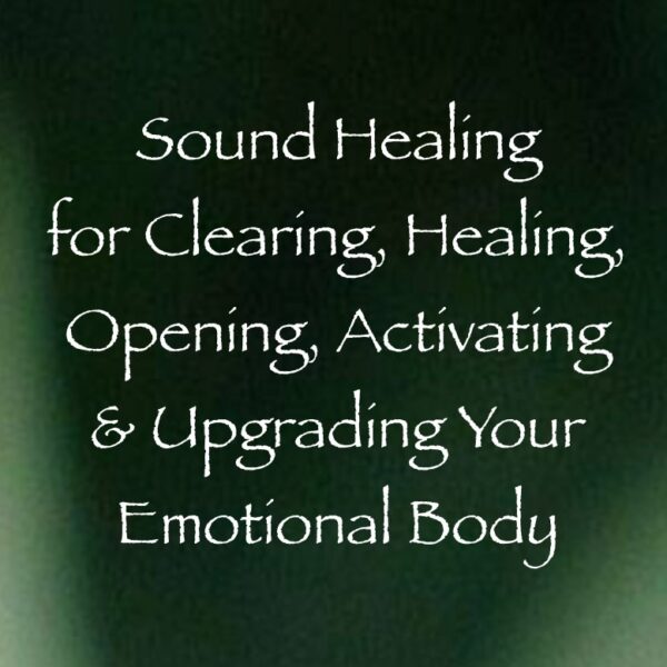 Screen Shot 2019-02-23 at 3.56.32 PM