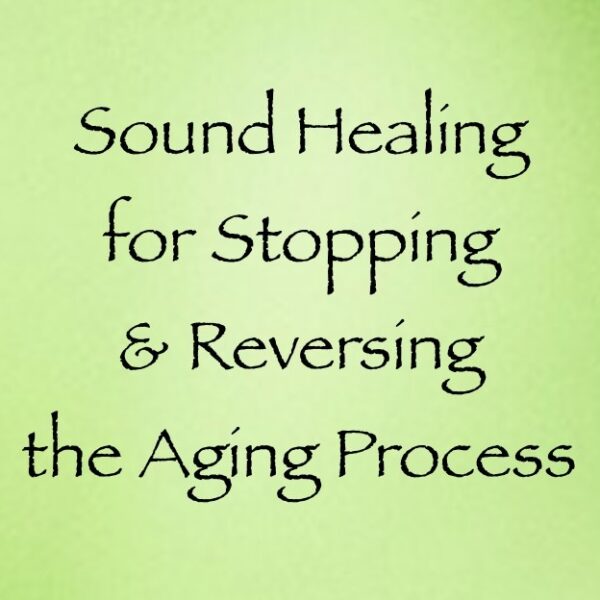 Screen Shot 2019-05-12 at 1.22.36 PM