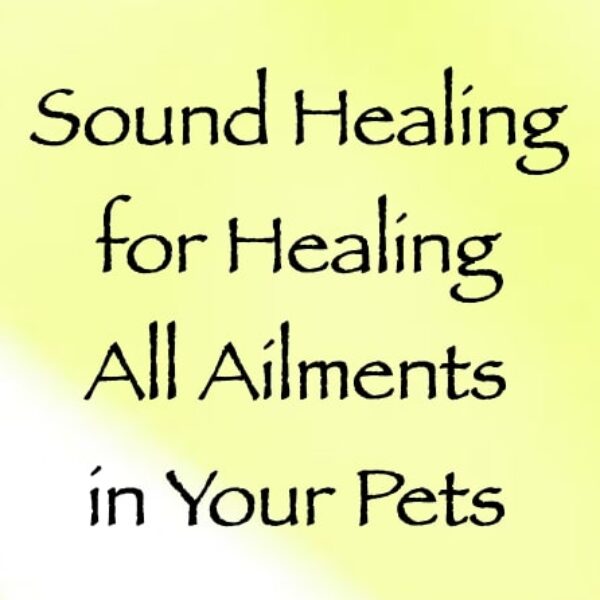 sound healing for healing all ailments in your pets