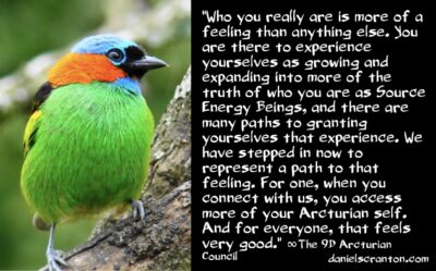 who the arcturian council seeks to reach - the 9th dimensional arcturian council - channeled by daniel scranton channeler of aliens