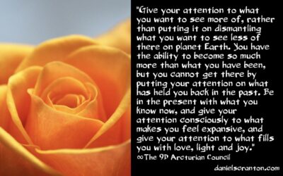 put your attention on the cabal or a flower - the 9d arcturian council - channeled by daniel scranton channeler of aliens