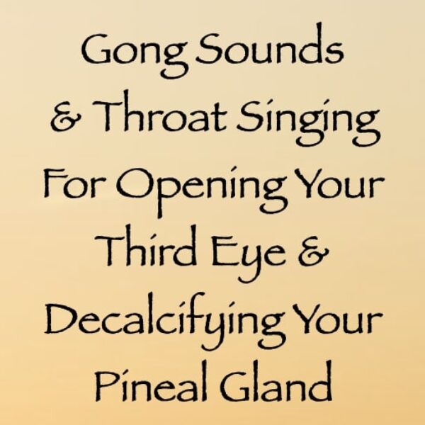 Gong Sounds & Throat Singing for Opening Your Third Eye & Decalcifying Your Pineal Gland ∞ Pay What You Want