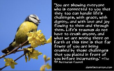 simple steps to clear your ancestral trauma - the 9d arcturian council - channeled by daniel scranton - channeler of aliens