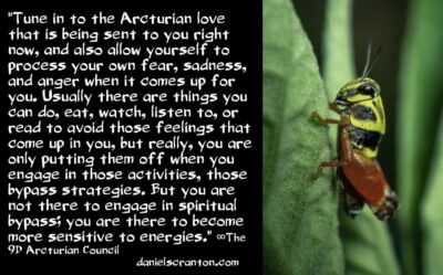 Avoid Spiritual Bypass & Receive Arcturian Love ∞The 9th Dimensional Arcturian Council - channeled by daniel scranton - channeler of aliens