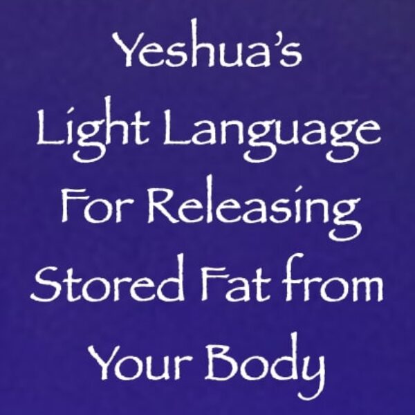 Yeshua's Light Language for Releasing Stored Body Fat ∞ Pay What You Want