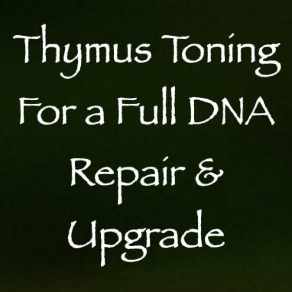 Thymus Toning for a Full DNA Repair & Upgrade ∞Pay What You Want