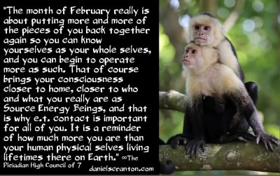 The February 2024 Energies - the pleiadian high council of 7 - channeled by daniel scranton