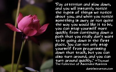 Pay Attention & Notice This - the 9d arcturian council - channeled by daniel scranton