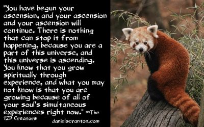 You Have Begun Your Ascension - the creators - channeled by daniel scranton