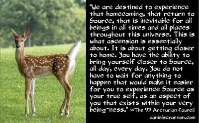 This Homecoming is Coming - The 9th Dimensional Arcturian Council - channeled by daniel scranton
