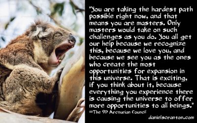 Why Did You Choose the Hardest Path in the Universe? - The 9th Dimensional Arcturian Council - channeled by daniel scranton