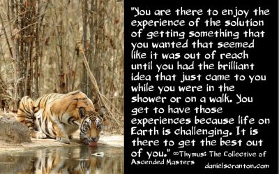 Why So May Souls Want to Be on Earth Now - thymus the collective of ascended masters - channeled by daniel scranton