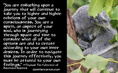 Your Next Journey Ahead Requires This - Thymus The Collective of Ascended Masters - channeled by daniel scranton