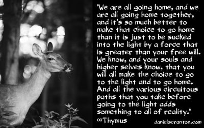 Why Would You Choose to Be Born on Earth? Thymus - The Collective of Ascended Masters - channeled by daniel scranton