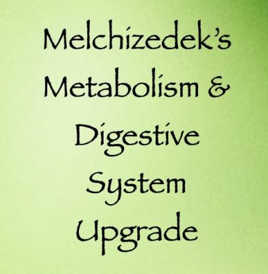 melchizedek's metabolism & digestive system upgrade - channeled by daniel scranton