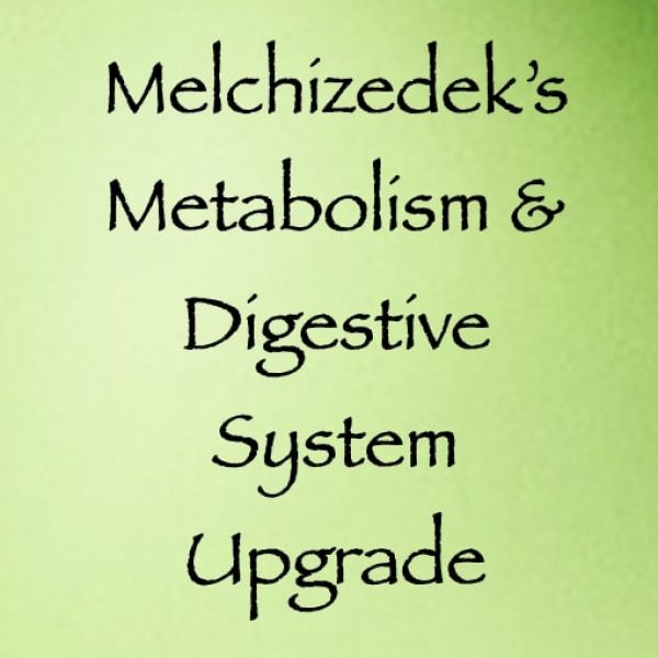 Melchizedek's Metabolism & Digestive System Upgrade ∞Pay What You Want