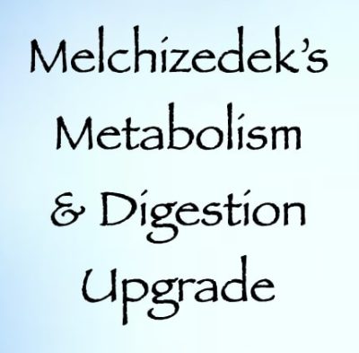 melchizedek's metabolism & digestion upgrade - channeled by daniel scranton