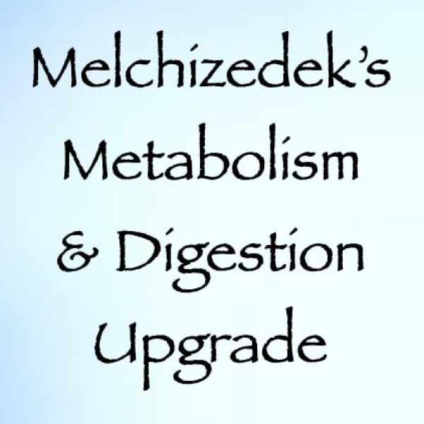 Melchizedek's Metabolism & Digestion Upgrade ∞Pay What You Want