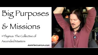 big purposes & missions - thymus
