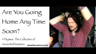 are you going home anytime soon - thymus